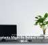 Houseplants Might Be Behind Your Sluggish Wi-Fi